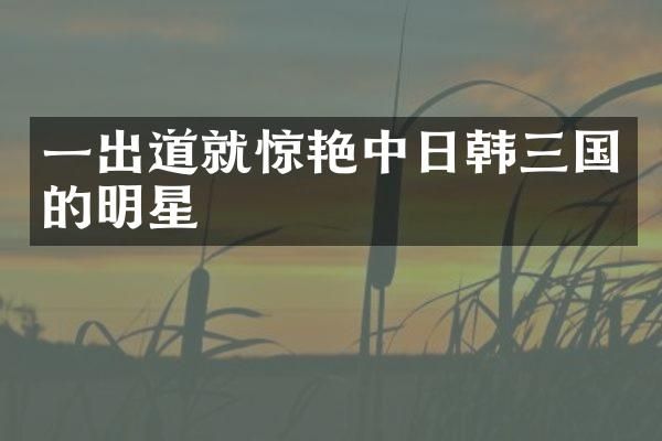 一出道就惊艳中日韩三国的明星