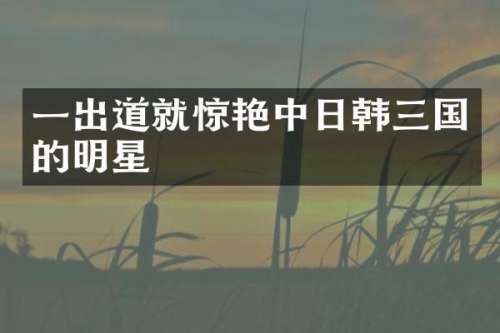 一出道就惊艳中日韩三国的明星
