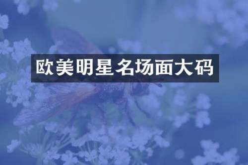 欧美明星名场面大码