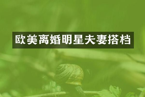 欧美离婚明星夫妻搭档