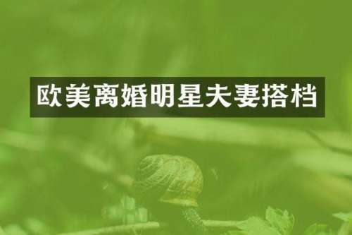 欧美离婚明星夫妻搭档