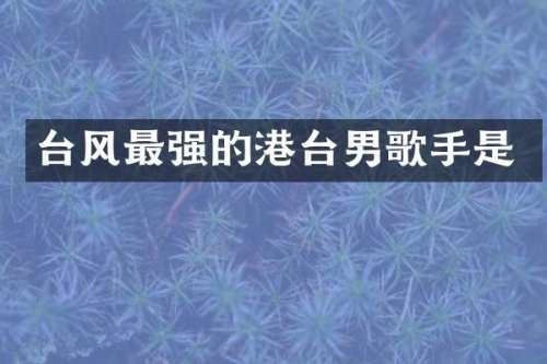 台风最强的港台男歌手是