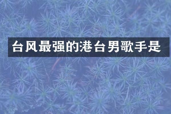 台风最强的港台男歌手是