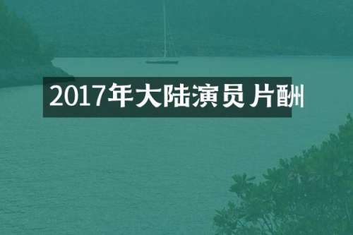 2017年大陆演员片酬