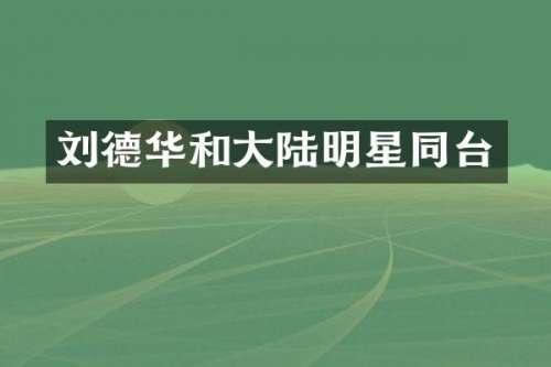 刘德华和大陆明星同台