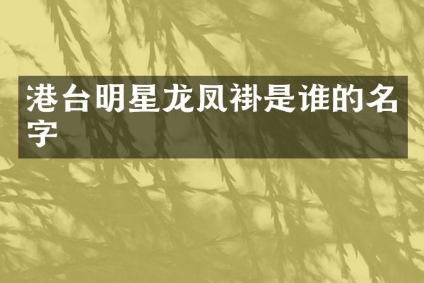港台明星龙凤褂是谁的名字