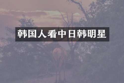 韩国人看中日韩明星