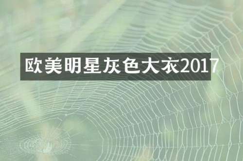 欧美明星灰色大衣2017