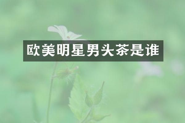 欧美明星男头茶是谁