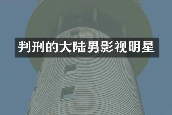 判刑的大陆男影视明星