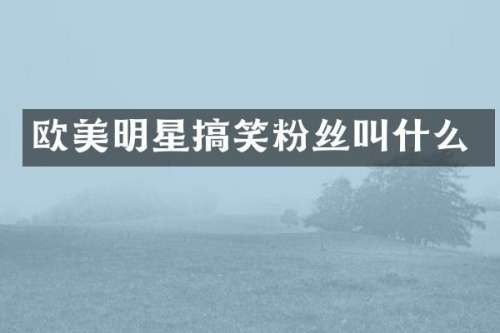 欧美明星搞笑粉丝叫什么