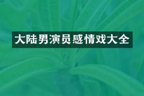 大陆男演员感情戏大全