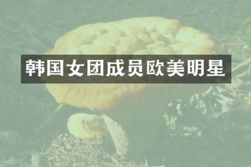 韩国女团成员欧美明星