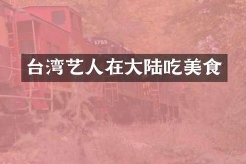 台湾艺人在大陆吃美食
