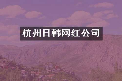 杭州日韩网红公司