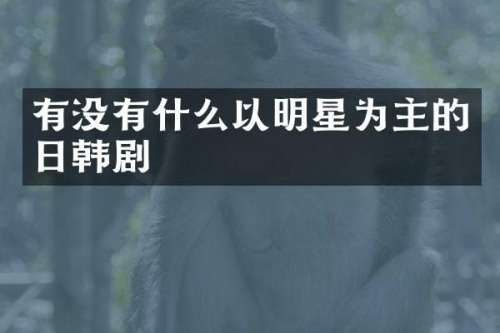 有没有什么以明星为主的日韩剧