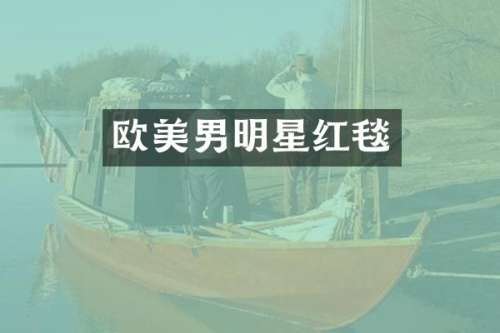 欧美男明星红毯