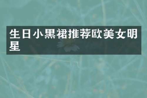生日小黑裙推荐欧明星