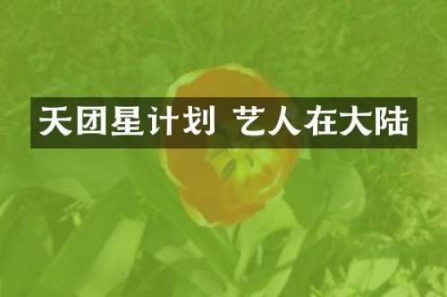 天团星计划 艺人在大陆