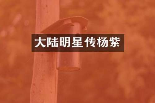 大陆明星传杨紫