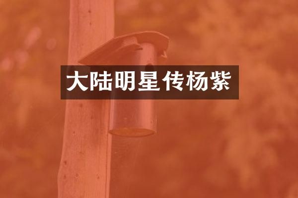 大陆明星传杨紫