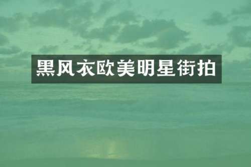 黑风衣欧美明星街拍