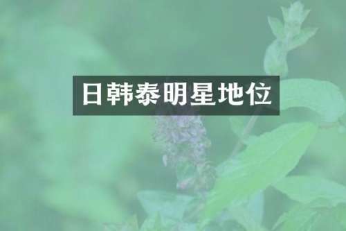 日韩泰明星地位