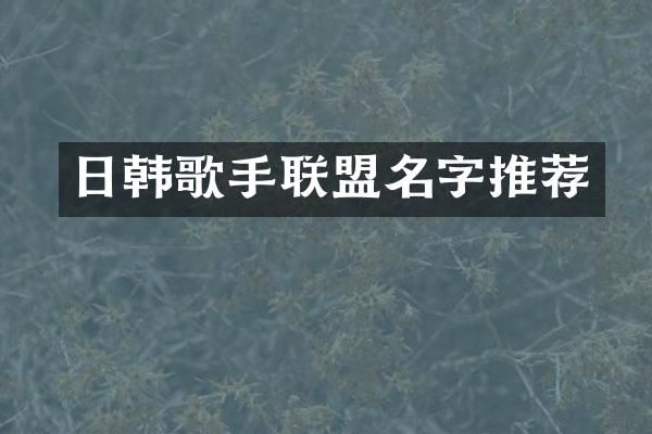 日韩歌手联盟名字推荐