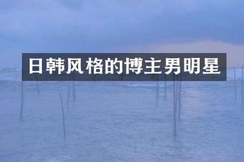 日韩风格的博主男明星
