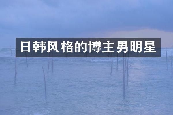 日韩风格的博主男明星