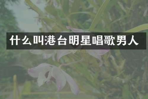 什么叫港台明星唱歌男人
