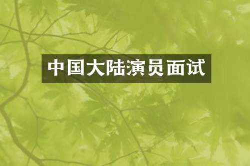 中国大陆演员面试