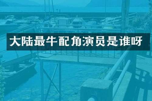 大陆最牛配角演员是谁呀