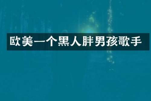 欧美一个黑人胖男孩歌手