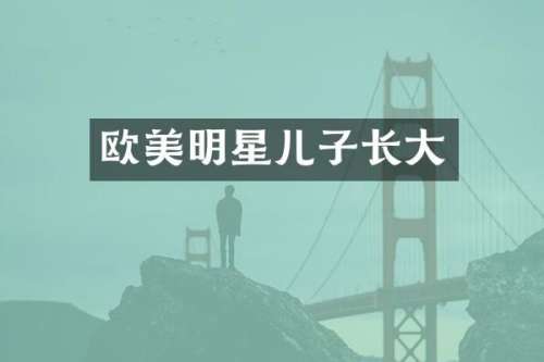 欧美明星儿子长大