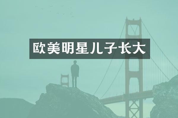 欧美明星儿子长大