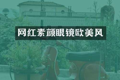 网红素颜眼镜欧美风