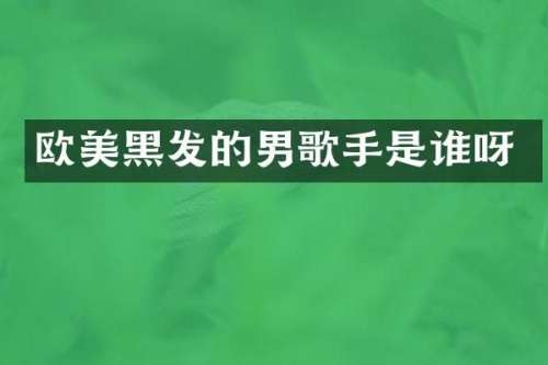 欧美黑发的男歌手是谁呀