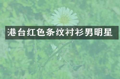 港台红色条纹衬衫男明星