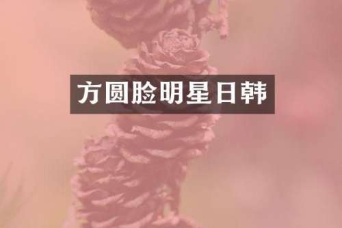 方圆脸明星日韩