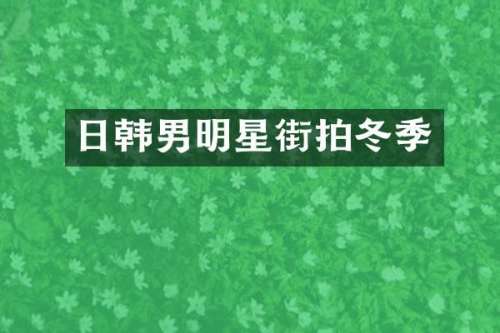 日韩男明星街拍冬季