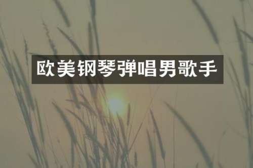 欧美钢琴弹唱男歌手