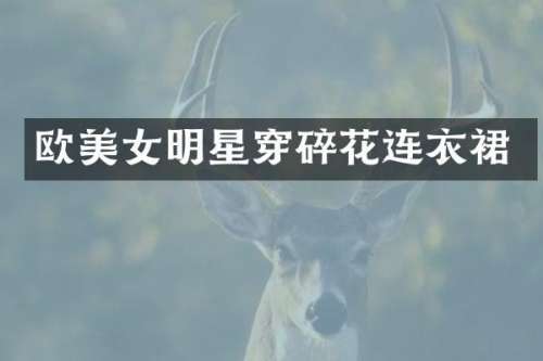 欧明星穿碎花连衣裙