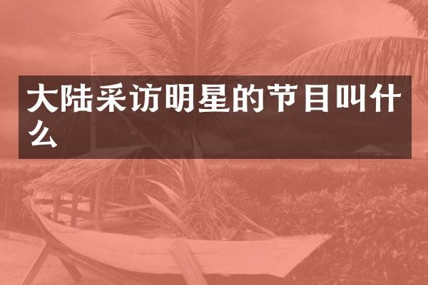 大陆采访明星的节目叫什么