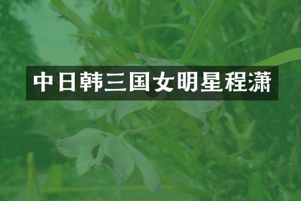 中日韩三国女明星