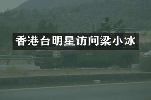 香港台明星访问梁小冰