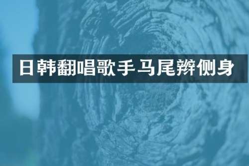 日韩翻唱歌手马尾辫侧身