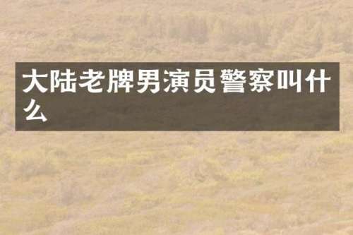 大陆老牌男演察叫什么