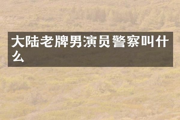 大陆老牌男演察叫什么