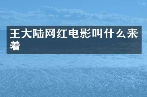 王大陆网红电影叫什么来着
